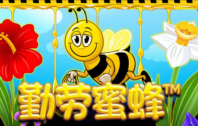 乐冠体育app下载